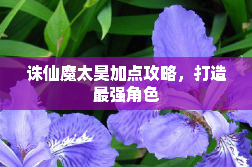 诛仙魔太昊加点攻略，打造最强角色
