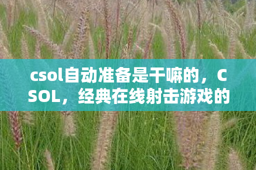 csol自动准备是干嘛的，CSOL，经典在线射击游戏的魅力与未来展望