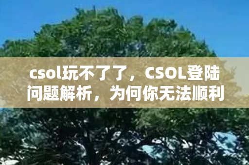 csol玩不了了，CSOL登陆问题解析，为何你无法顺利游玩？