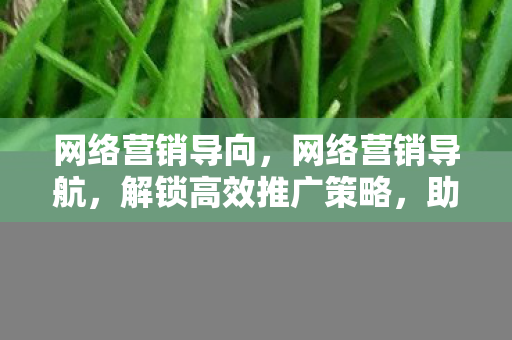 网络营销导向,网络营销导航,解锁高效推广策略,助力企业品牌升级 网络营销导向,网络营销导航,解锁高效推广策略,助力企业品牌升级