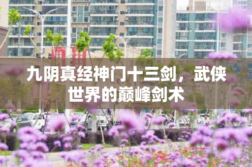 九阴真经神门十三剑，武侠世界的巅峰剑术