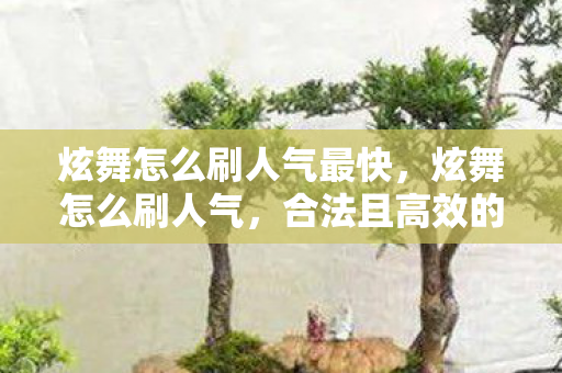 炫舞怎么刷人气最快,炫舞怎么刷人气,合法且高效的方法 炫舞怎么刷人气最快,炫舞怎么刷人气,合法且高效的方法