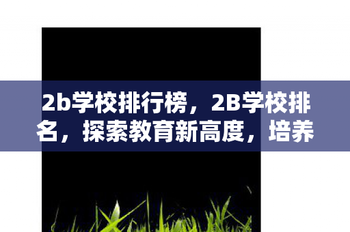 2b学校排行榜，2B学校排名，探索教育新高度，培养未来领袖