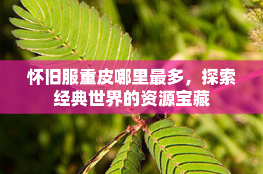 怀旧服重皮哪里最多，探索经典世界的资源宝藏