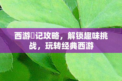 西游囧记攻略，解锁趣味挑战，玩转经典西游