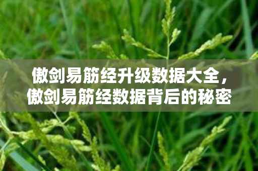 傲剑易筋经升级数据大全，傲剑易筋经数据背后的秘密，揭秘游戏数据背后的故事