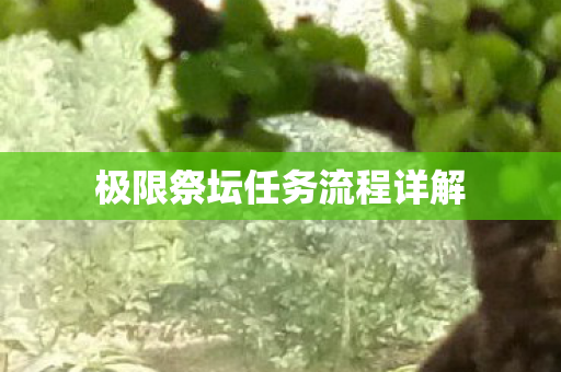 极限祭坛任务流程详解