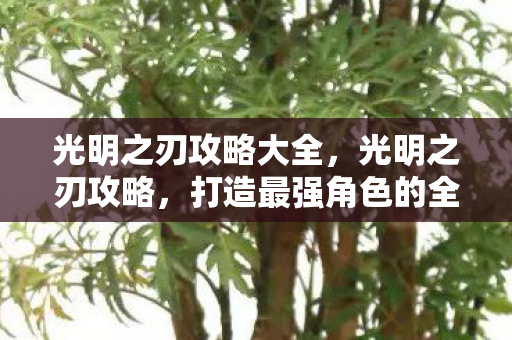 光明之刃攻略大全，光明之刃攻略，打造最强角色的全面指南