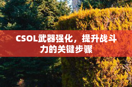 CSOL武器强化,提升战斗力的关键步骤 CSOL武器强化,提升战斗力的关键步骤