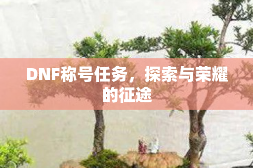 DNF称号任务,探索与荣耀的征途 DNF称号任务,探索与荣耀的征途