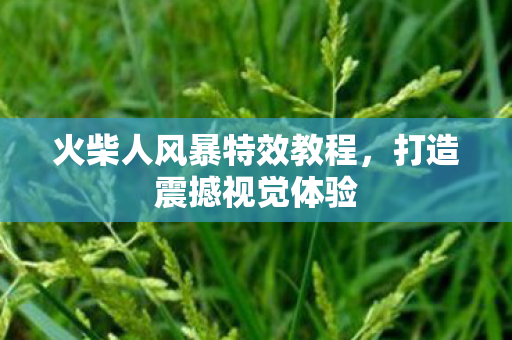 火柴人风暴特效教程,打造震撼视觉体验 火柴人风暴特效教程,打造震撼视觉体验