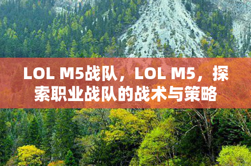LOL M5战队，LOL M5，探索职业战队的战术与策略