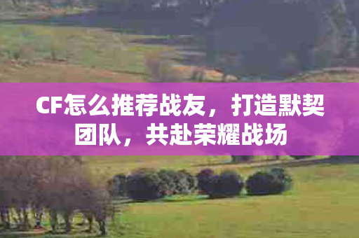CF怎么推荐战友，打造默契团队，共赴荣耀战场