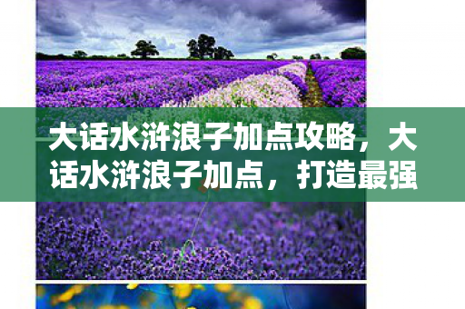 大话水浒浪子加点攻略，大话水浒浪子加点，打造最强浪子的攻略指南