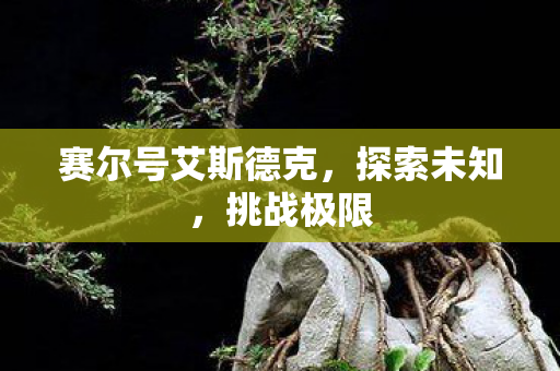 赛尔号艾斯德克,探索未知,挑战极限 赛尔号艾斯德克,探索未知,挑战极限