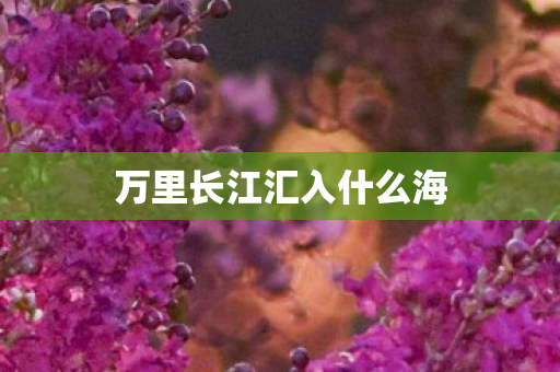 万里长江汇入什么海