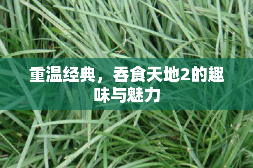 重温经典，吞食天地2的趣味与魅力