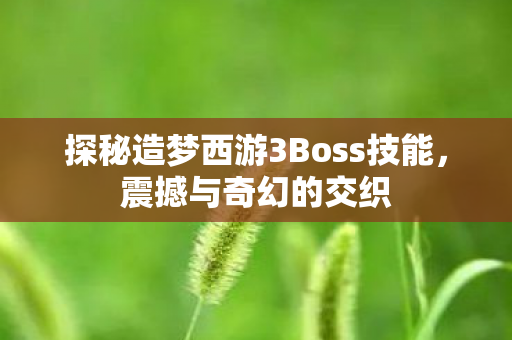 探秘造梦西游3Boss技能，震撼与奇幻的交织