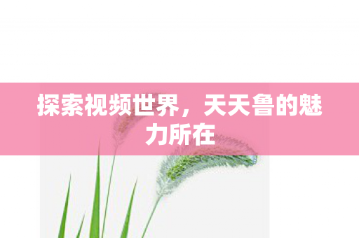 探索视频世界,天天鲁的魅力所在 探索视频世界,天天鲁的魅力所在