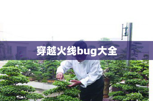 穿越火线bug大全