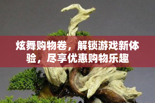 炫舞购物卷，解锁游戏新体验，尽享优惠购物乐趣
