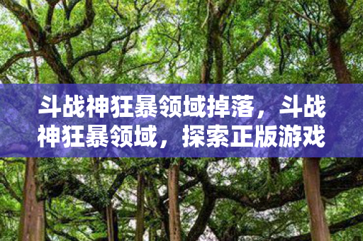 斗战神狂暴领域掉落，斗战神狂暴领域，探索正版游戏的极致体验