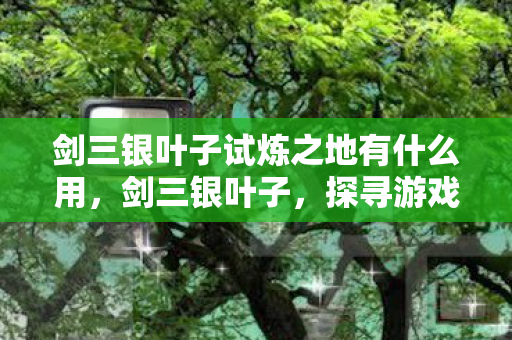 剑三银叶子试炼之地有什么用，剑三银叶子，探寻游戏中的珍贵宝藏