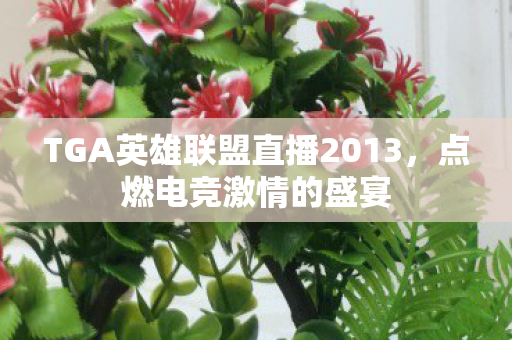 TGA英雄联盟直播2013,点燃电竞激情的盛宴 TGA英雄联盟直播2013,点燃电竞激情的盛宴