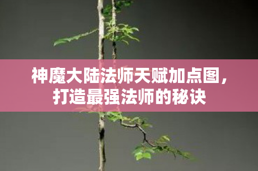神魔大陆法师天赋加点图,打造最强法师的秘诀 神魔大陆法师天赋加点图,打造最强法师的秘诀