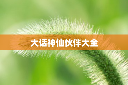 大话神仙伙伴大全