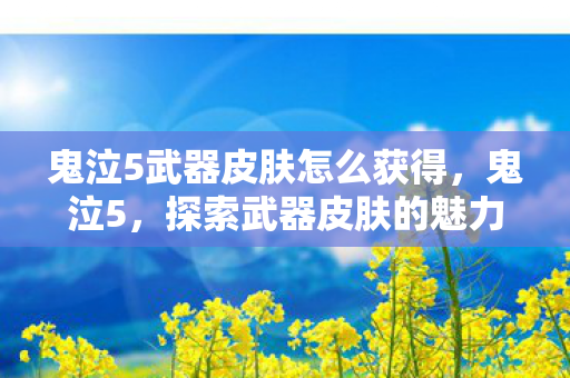 鬼泣5武器皮肤怎么获得，鬼泣5，探索武器皮肤的魅力与深度