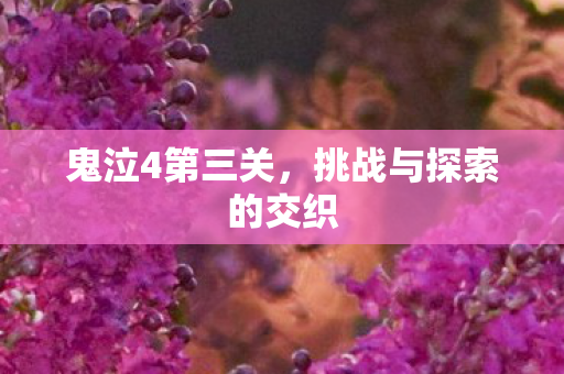 鬼泣4第三关，挑战与探索的交织