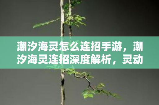 潮汐海灵怎么连招手游,潮汐海灵连招深度解析,灵动如潮,掌控战局 潮汐海灵怎么连招手游,潮汐海灵连招深度解析,灵动如潮,掌控战局