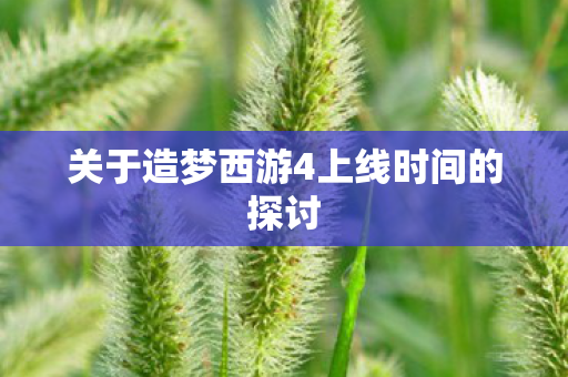 关于造梦西游4上线时间的探讨 关于造梦西游4上线时间的探讨