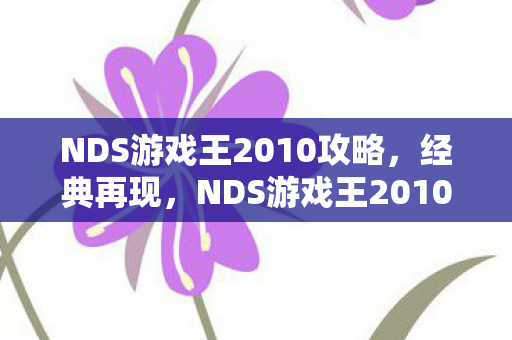 NDS游戏王2010攻略，经典再现，NDS游戏王2010的怀旧之旅