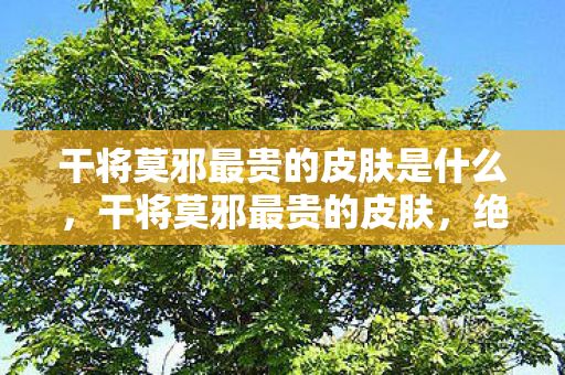 干将莫邪最贵的皮肤是什么,干将莫邪最贵的皮肤,绝世之魅,剑指巅峰 干将莫邪最贵的皮肤是什么,干将莫邪最贵的皮肤,绝世之魅,剑指巅峰