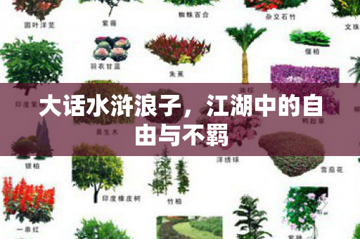 大话水浒浪子，江湖中的自由与不羁