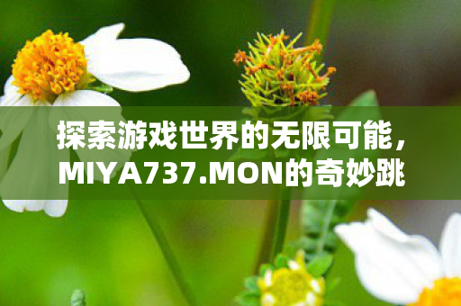 探索游戏世界的无限可能，MIYA737.MON的奇妙跳转接口