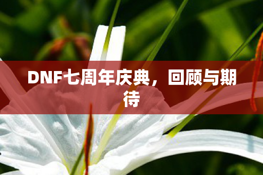DNF七周年庆典，回顾与期待