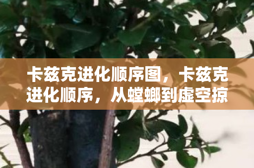 卡兹克进化顺序图，卡兹克进化顺序，从螳螂到虚空掠夺者