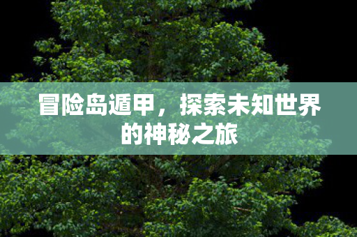 冒险岛遁甲,探索未知世界的神秘之旅 冒险岛遁甲,探索未知世界的神秘之旅
