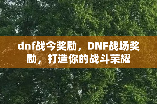 dnf战今奖励,DNF战场奖励,打造你的战斗荣耀 dnf战今奖励,DNF战场奖励,打造你的战斗荣耀