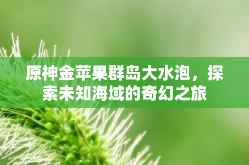 原神金苹果群岛大水泡，探索未知海域的奇幻之旅