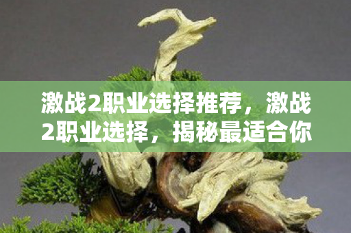 激战2职业选择推荐,激战2职业选择,揭秘最适合你的战斗角色 激战2职业选择推荐,激战2职业选择,揭秘最适合你的战斗角色