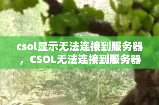 csol显示无法连接到服务器，CSOL无法连接到服务器，深度解析与解决方案