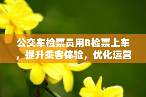 公交车检票员用B检票上车，提升乘客体验，优化运营效率