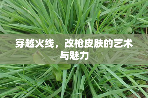穿越火线,改枪皮肤的艺术与魅力 穿越火线,改枪皮肤的艺术与魅力