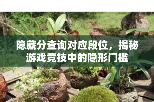 隐藏分查询对应段位,揭秘游戏竞技中的隐形门槛 隐藏分查询对应段位,揭秘游戏竞技中的隐形门槛