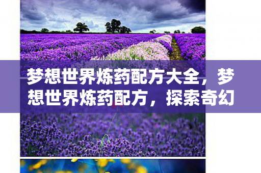 梦想世界炼药配方大全，梦想世界炼药配方，探索奇幻药剂的奥秘