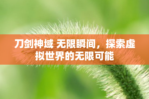 刀剑神域 无限瞬间，探索虚拟世界的无限可能
